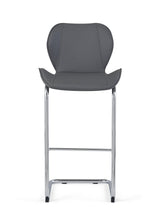 Load image into Gallery viewer, Hanna Barstool PAIR
