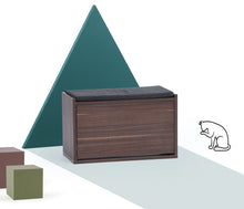 Load image into Gallery viewer, Tona Modern Contemporary Shoe Cabinet with Cushion
